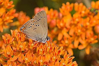 生存恐怖射击游戏《渊域》10月27日登陆PC 平台，10月28日登陆PS5与Xbox主机版！